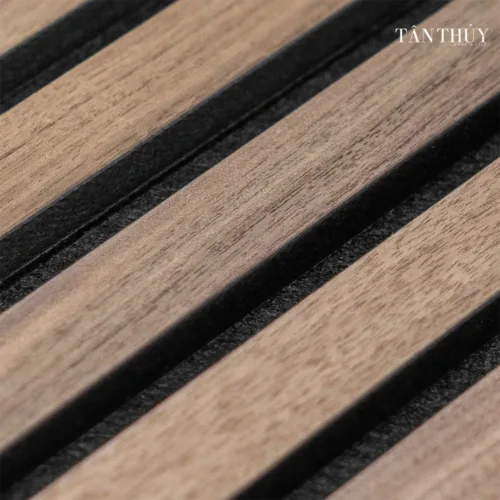 Tam go cach am Akupanel TT60 Mau qua oc cho 3